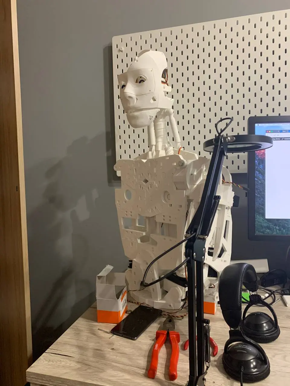 /images/robots.webp