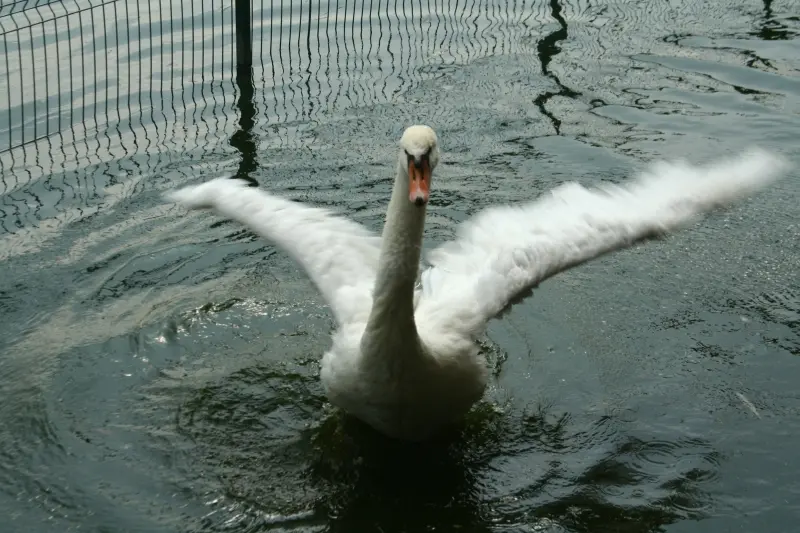 /images/take_off.webp